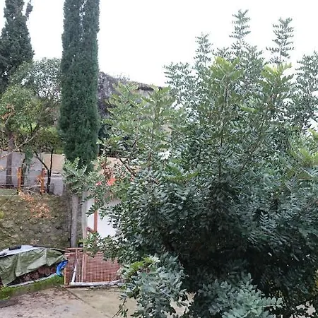 The Old Olive Mill House *