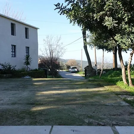 The Old Olive Mill House *