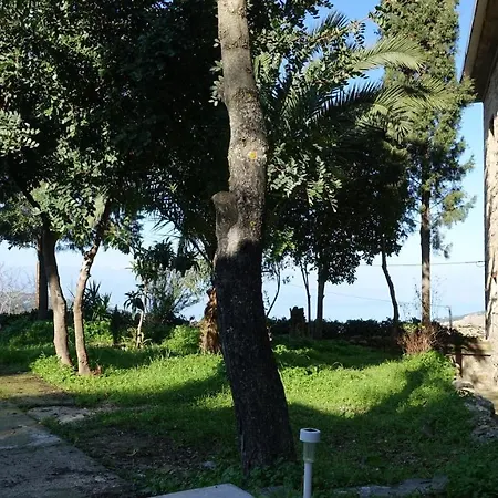 אכסניה The Old Olive Mill House