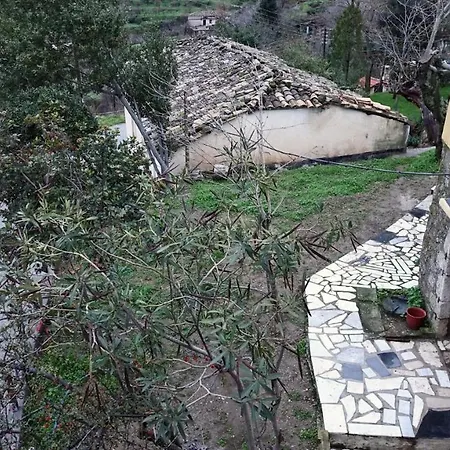 The Old Olive Mill House بيت خشبي Aegae