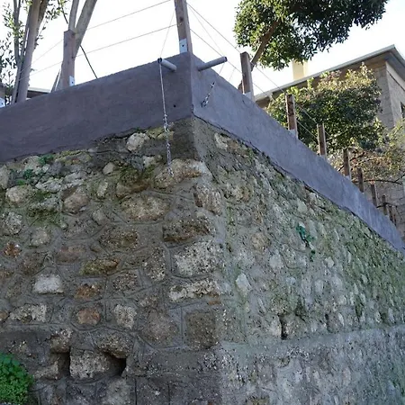 The Old Olive Mill House بيت خشبي Aegae