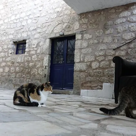 The Old Olive Mill House Aegae