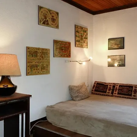 بيت خشبي The Old Olive Mill House Aegae