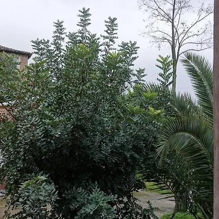 The Old Olive Mill House بيت خشبي
